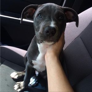 Host appreciation listing Share shows